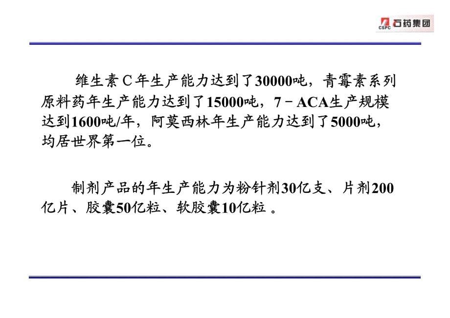 百年基业咨询公司-石药集团-基于能力的人才评估选拔培养体系_第5页