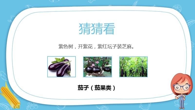 儿童认识蔬菜水果教育课件PPT模板_第5页