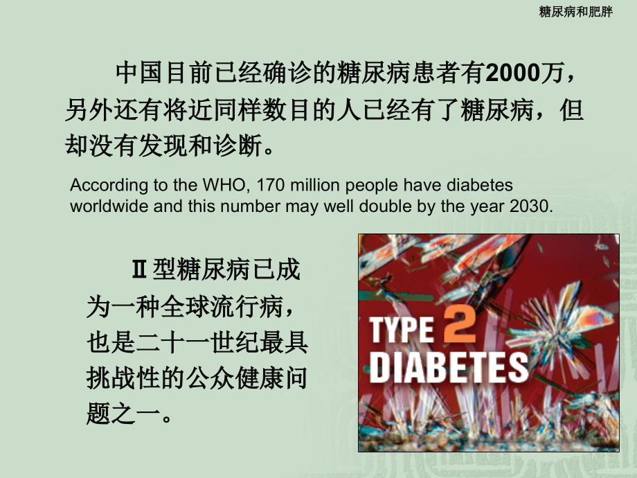 糖尿病的病理生理及其护理PPT演示课件_第3页