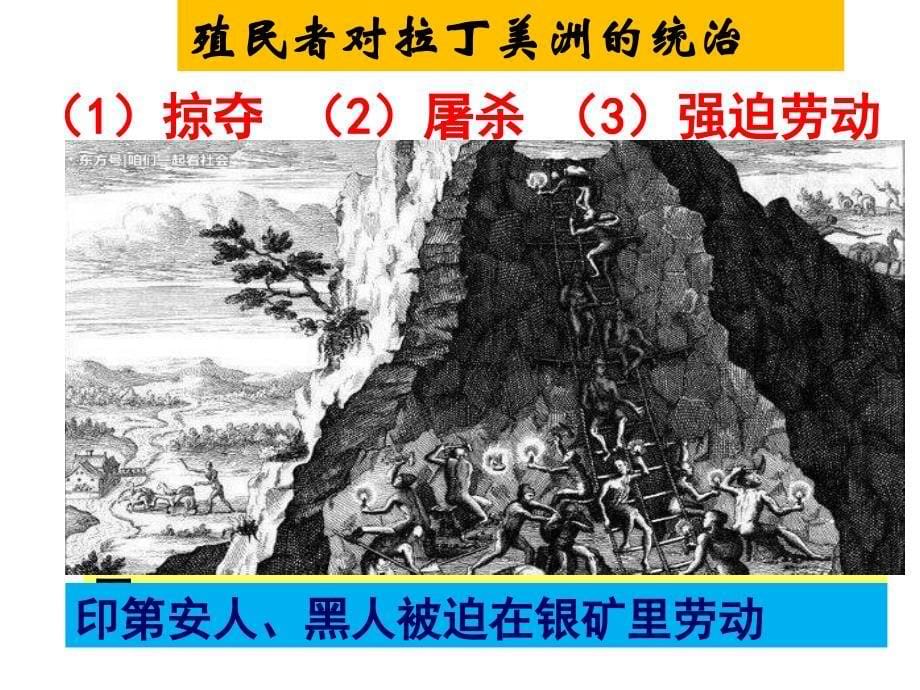 第一课 殖民地人民的反抗斗争_第5页