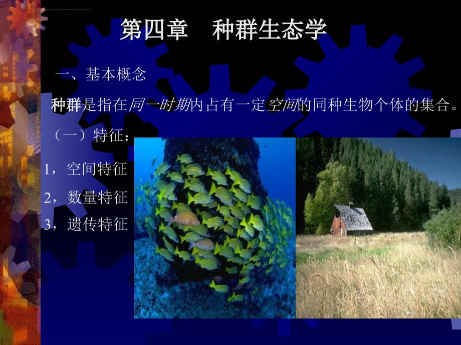 2019种群生态学ppt课件_第1页