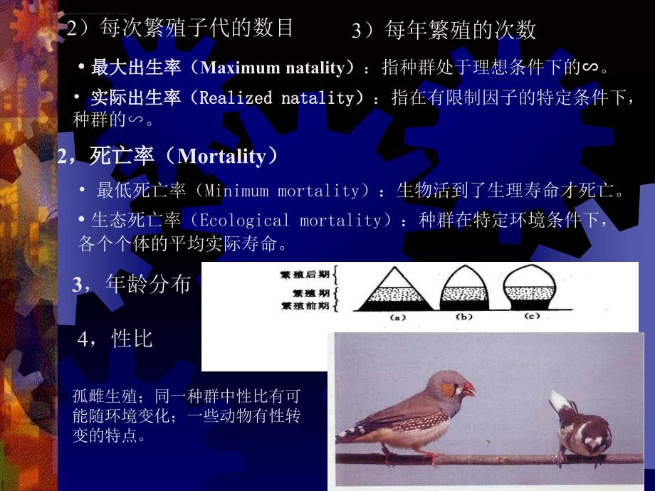 2019种群生态学ppt课件_第4页