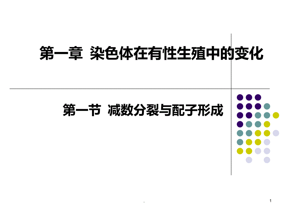 高中生物减数分裂精华版精品课件_第1页