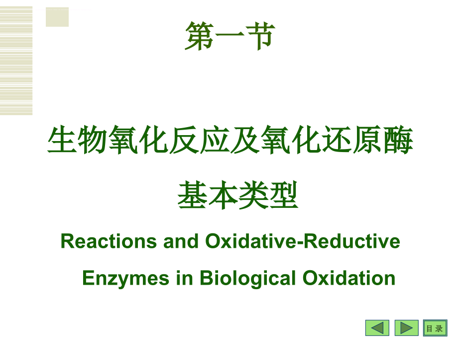 生物氧化与氧化磷酸化ppt课件_第2页