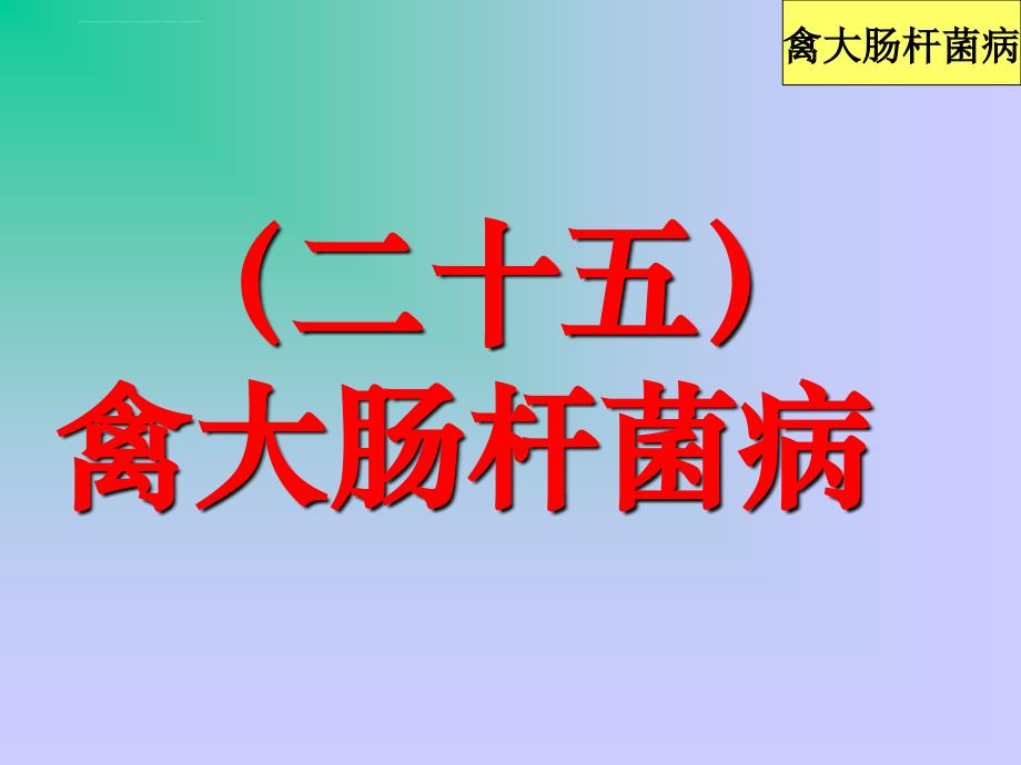 禽病学禽病临床诊断彩色图谱25禽大肠杆菌病西南民族大学ppt课件_第1页