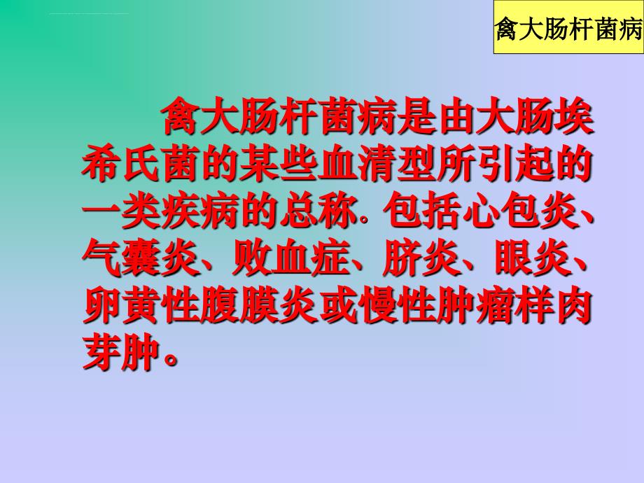 禽病学禽病临床诊断彩色图谱25禽大肠杆菌病西南民族大学ppt课件_第2页