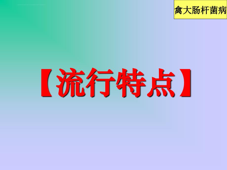 禽病学禽病临床诊断彩色图谱25禽大肠杆菌病西南民族大学ppt课件_第3页