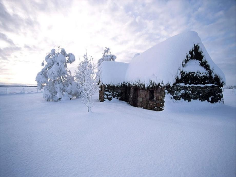 看雪 优秀课件_第4页