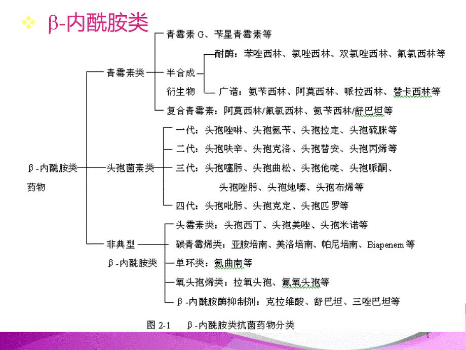 抗生素的分类及合理应用PPT课件_第4页