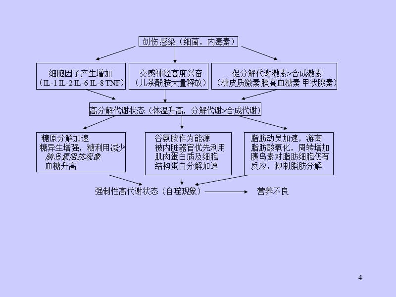 为重症营养及代谢管理参考PPT_第4页