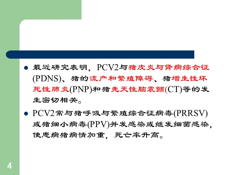 《猪圆环病毒感染》参考PPT_第4页