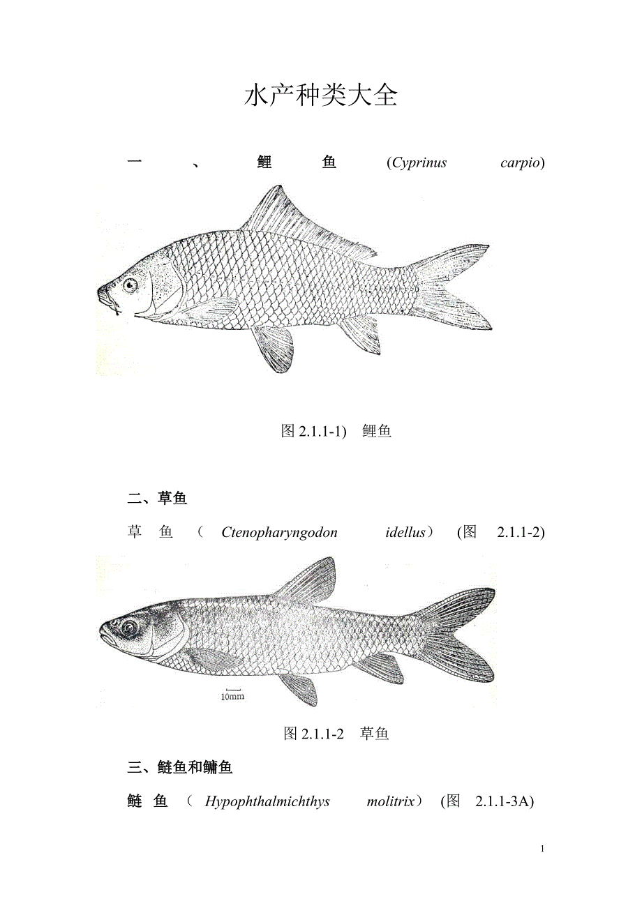 水产种类大全-修订编选_第1页