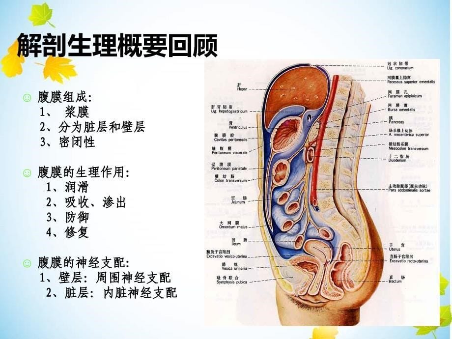 急性腹膜炎病人的护理44276_第5页