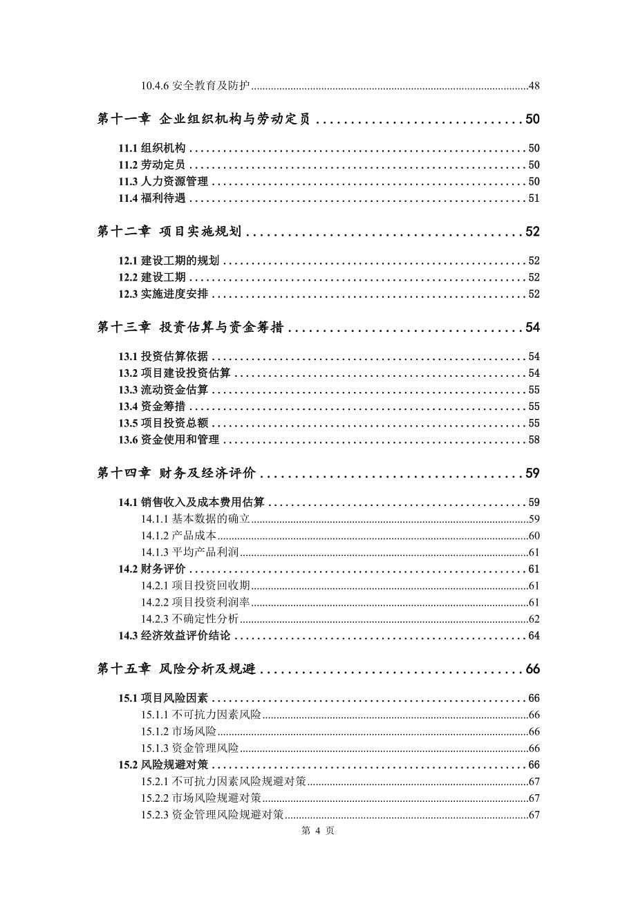 硅基芯片生产建设项目可行性研究报告_第5页