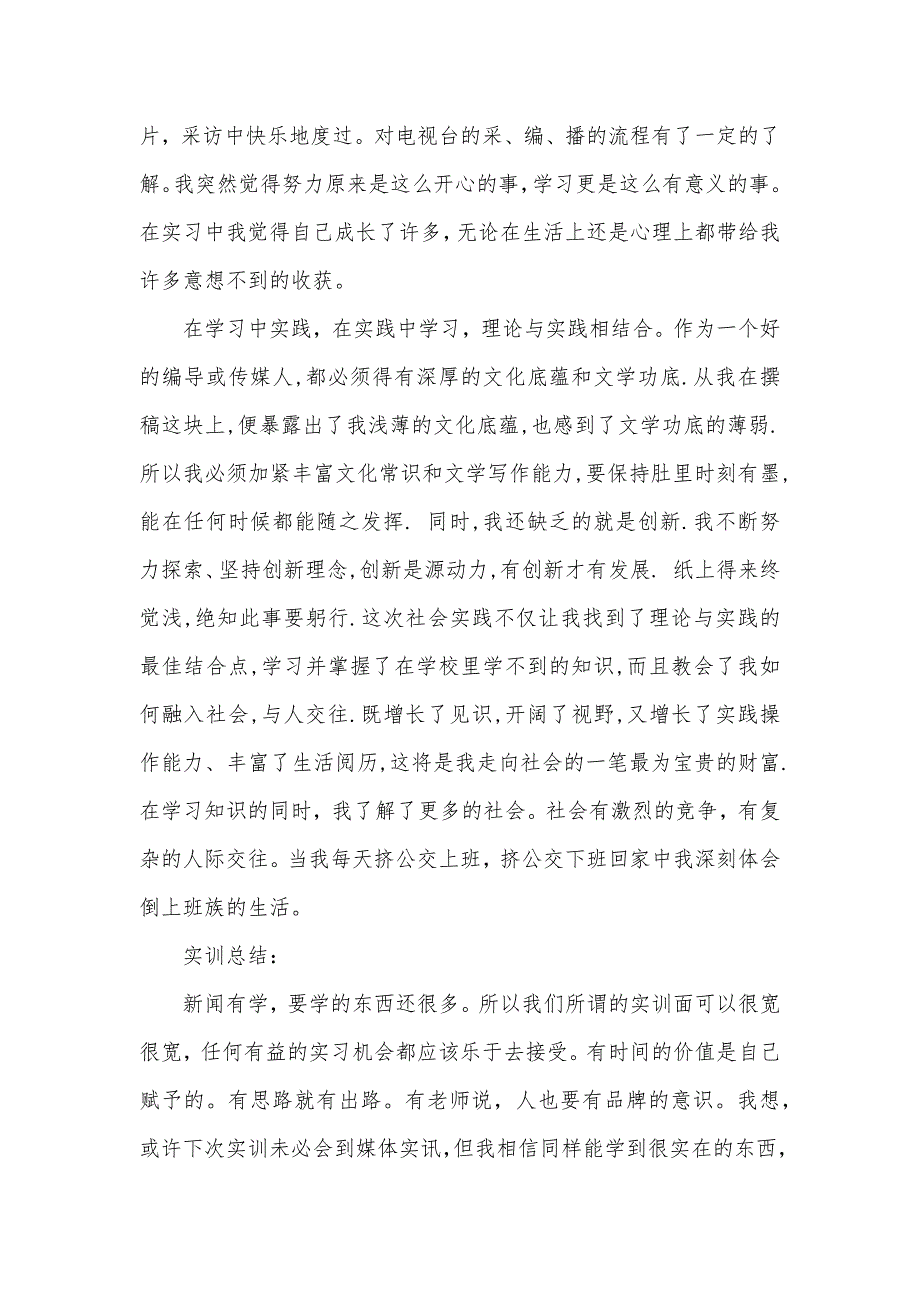 电视台实习报告3000字有哪些（可编辑）_第3页