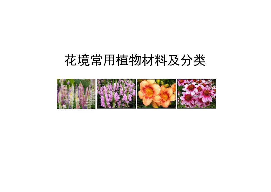 花境材料分类-修订编选_第1页