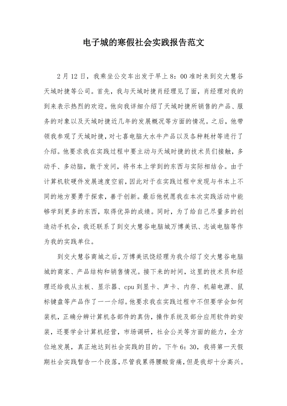 电子城的寒假社会实践报告范文（可编辑）_第1页