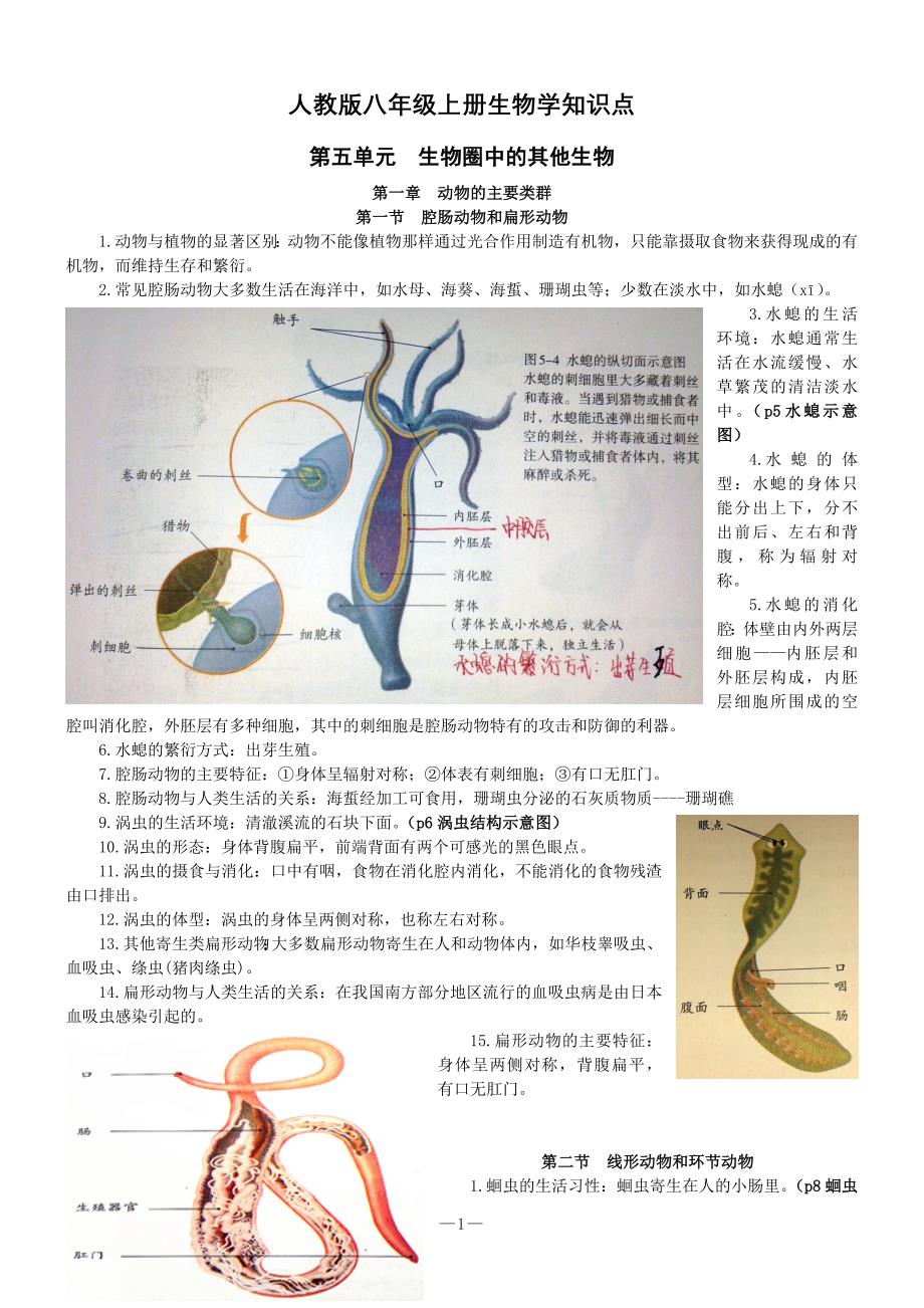 人教版八年级上册生物学知识点-修订编选_第1页