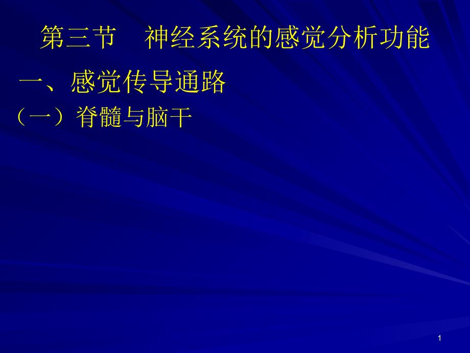 dd神经系统的感觉分析功能参考PPT_第1页