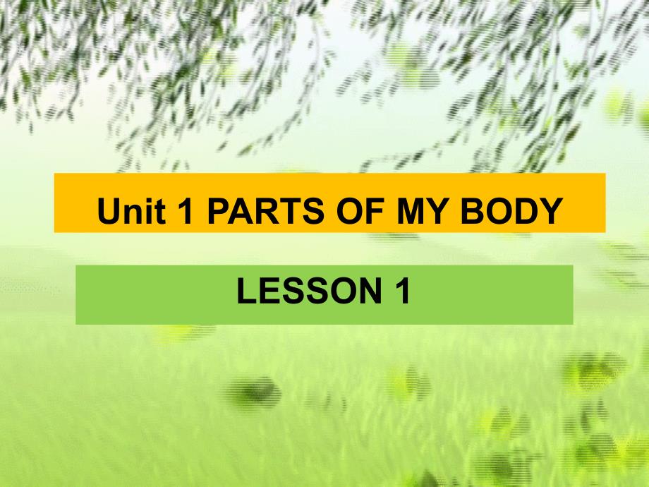 一年级上册英语课件-Unit 1 PARTS OF MY BODY LESSON 1 课件｜清华版（一起） (共15张PPT)_第1页
