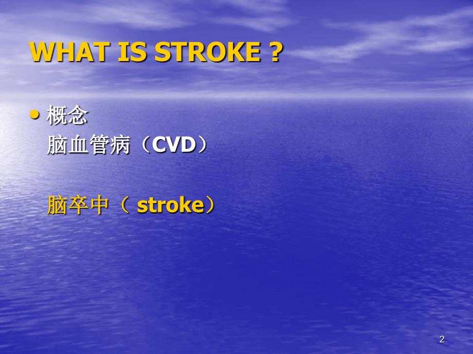 STROKE2006康复课程参考PPT_第2页