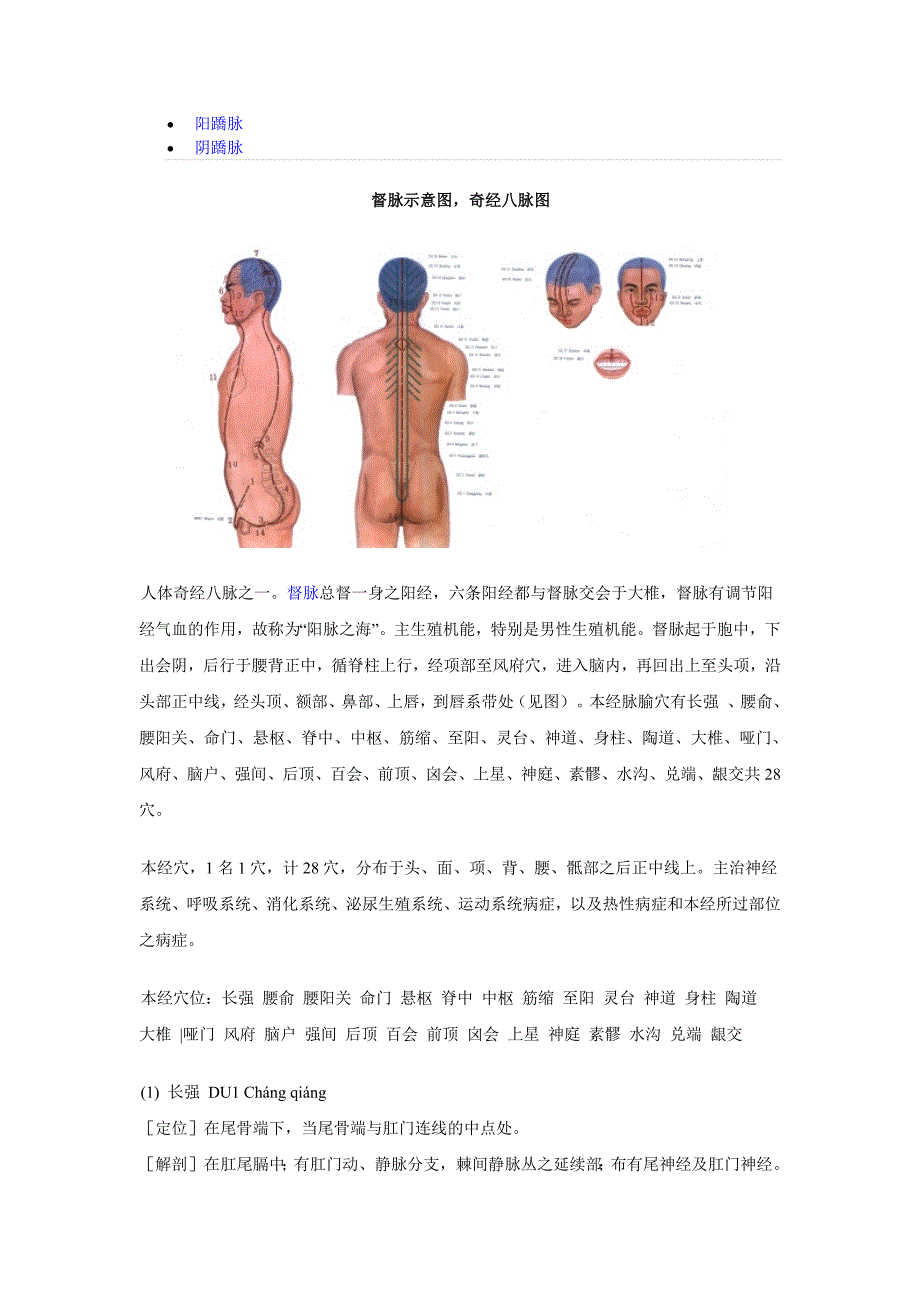 奇经八脉示意图6277-修订编选_第2页