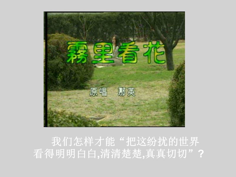 透过现象抓住本质PPT课件_第2页