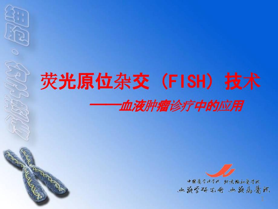 FISH技术在血液疾病诊断中的应用参考PPT_第1页