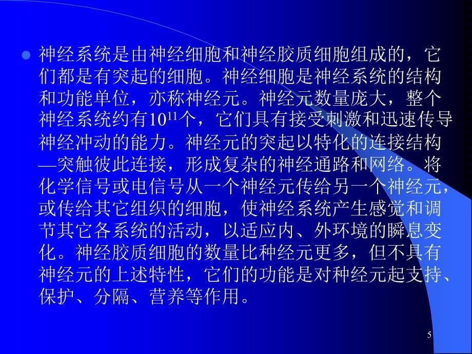 组织学与解剖学神经系统参考课件_第5页