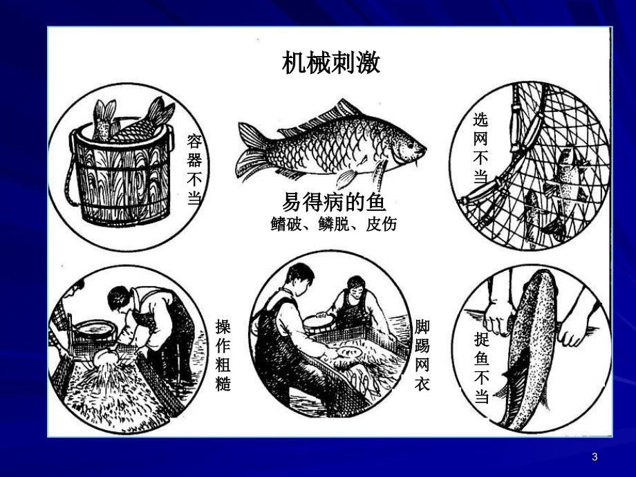 水产动物疾病学复习参考PPT_第3页