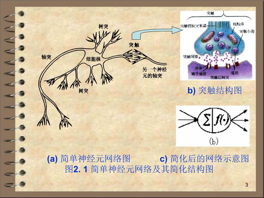 神经网络基础知识精选参考课件_第3页