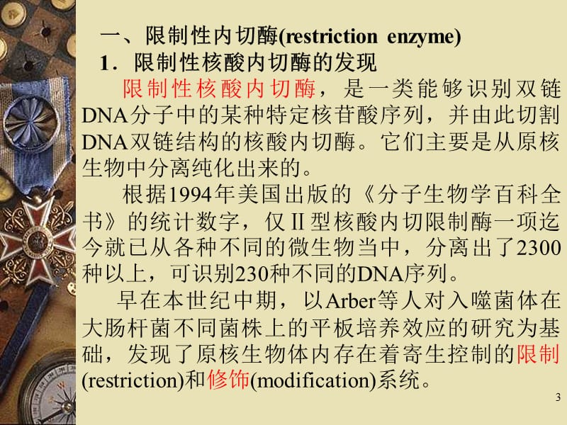 基因工程工具酶限制酶参考PPT_第3页