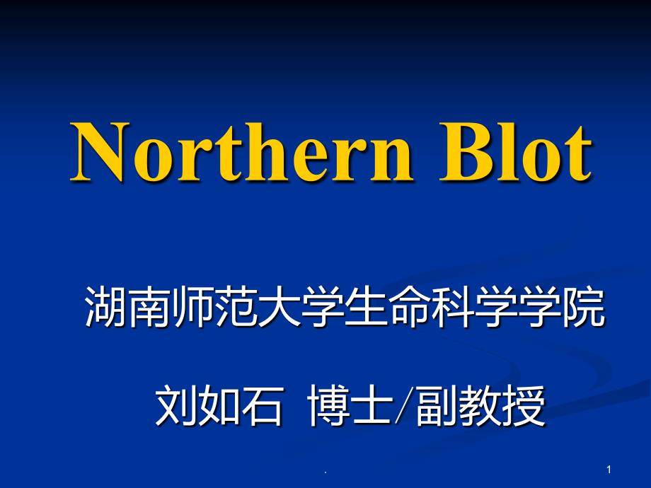 NorthernBlot印迹杂交PPT课件_第1页