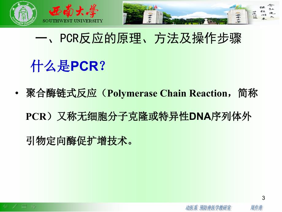 猪伪狂犬病的PCR诊断参考PPT_第3页