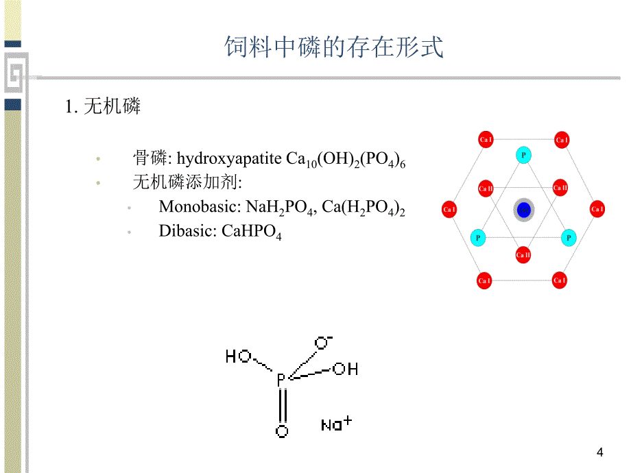 估测与提高鱼饲料中磷的消化率参考PPT_第4页