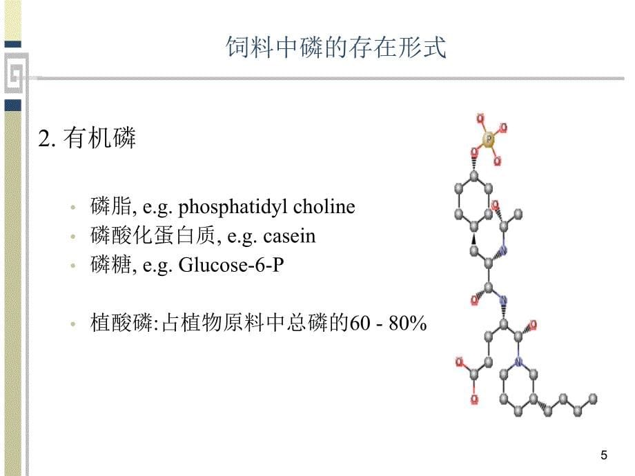 估测与提高鱼饲料中磷的消化率参考PPT_第5页