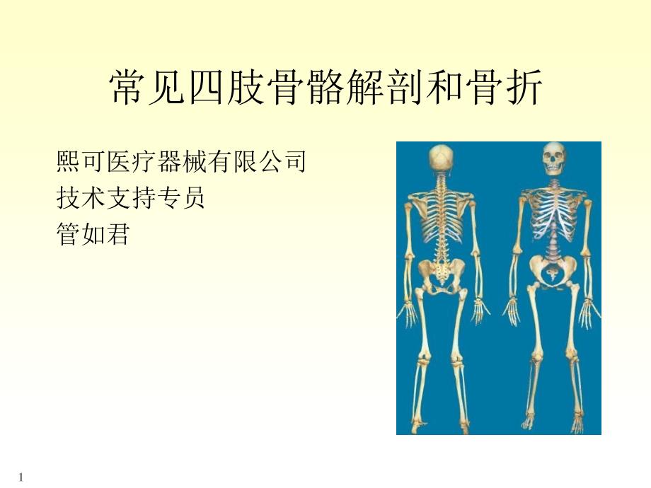 《肢骨骼解剖和骨折》参考PPT_第1页