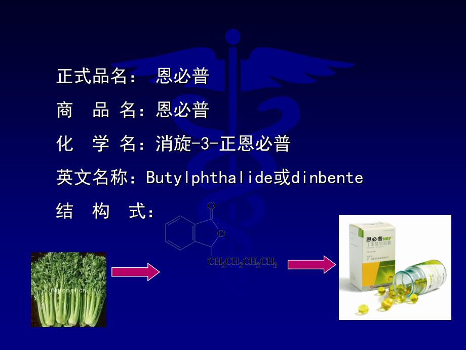 恩必普临床治疗新进展参考PPT_第2页