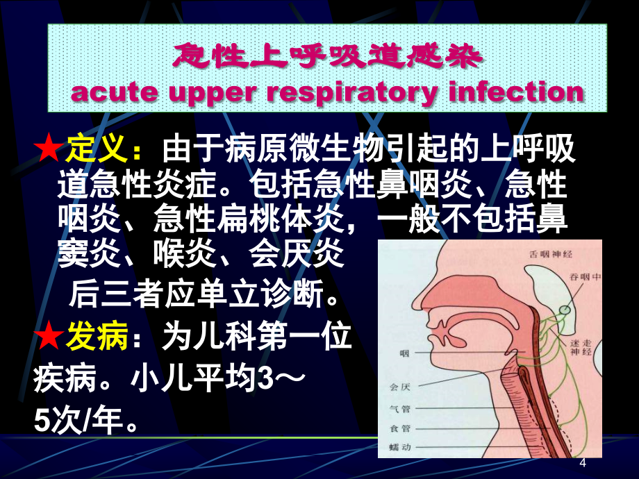 浅谈呼吸系统疾病诊治用参考PPT_第4页