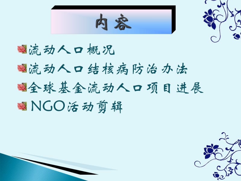 流动人口结核病防治及NGO作用结核病防治骨干培训参考PPT_第2页