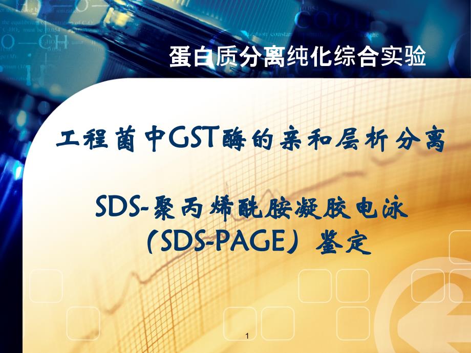 new实验七GST酶亲和层析及SDS-PAGE参考PPT_第1页