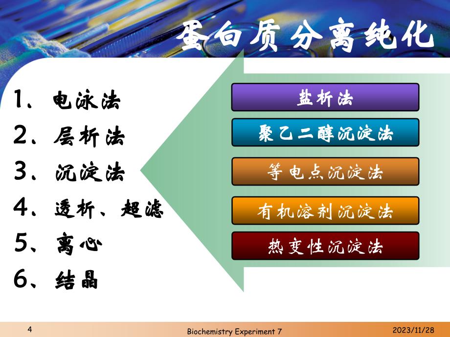 new实验七GST酶亲和层析及SDS-PAGE参考PPT_第4页