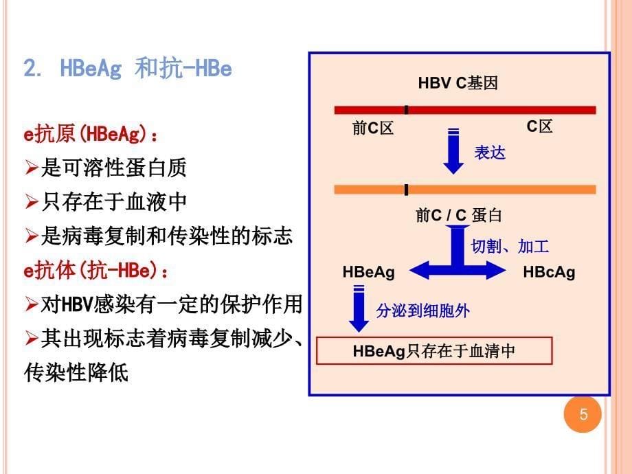 乙型病毒性肝炎的实验室检查参考PPT_第5页