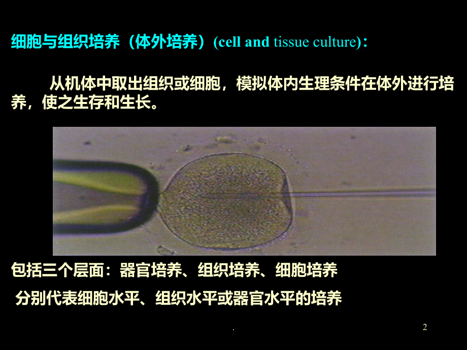 动物细胞培养基本技术与原理PPT课件_第2页