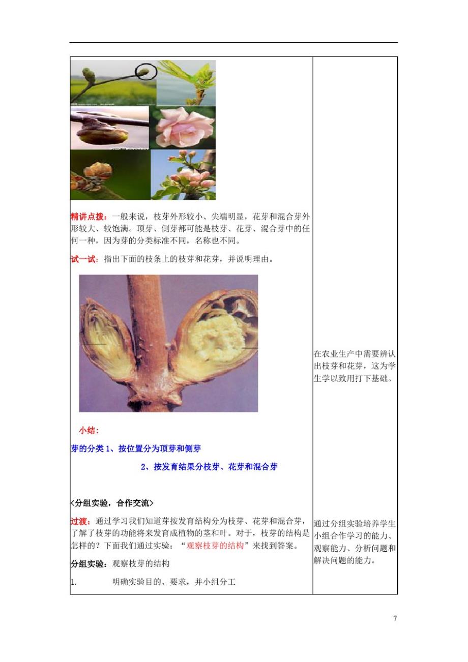八年级生物上册第四单元第一章第六节《芽的类型和发育》教学设计济南版_第3页