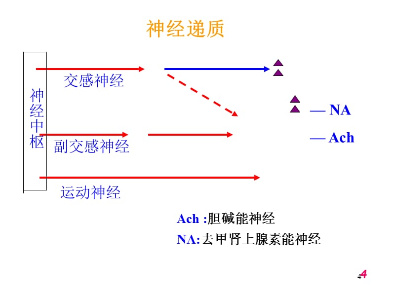 传出神经系统的药理学概论参考PPT_第4页