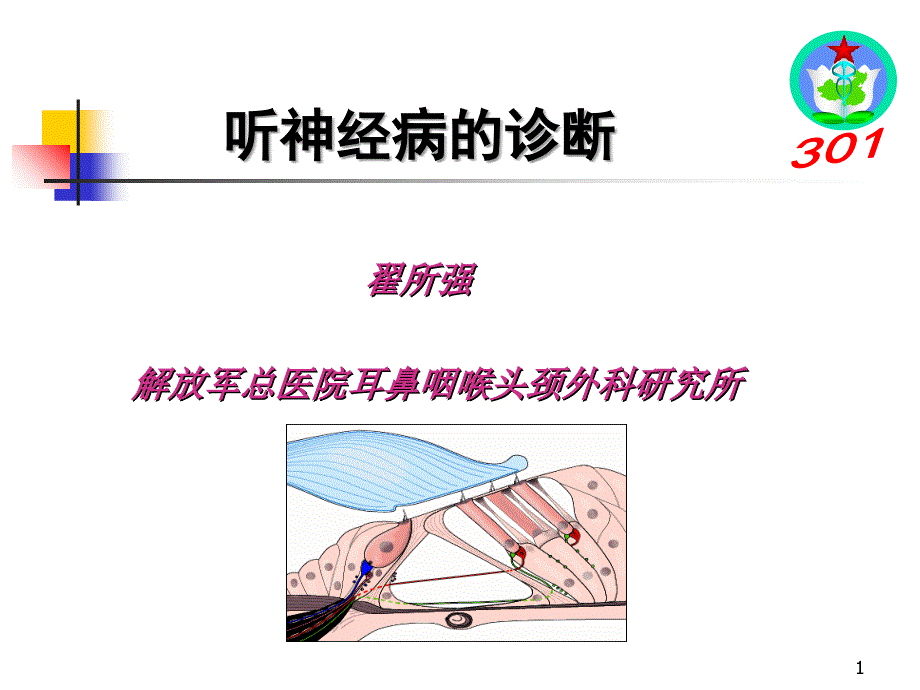 听神经病的诊断301医院翟所强参考PPT_第1页