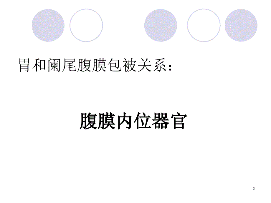 胃和阑尾的位置毗邻、腹膜包被关系、血液供应、神经支配、淋巴回流参考课件_第2页