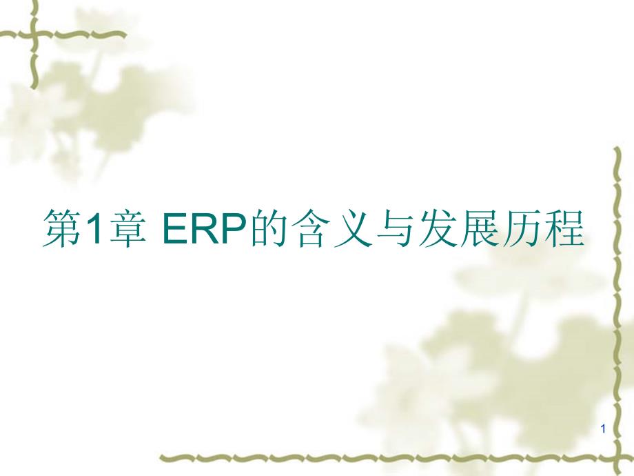 ERP原理与应用-第1章.ppt_第1页