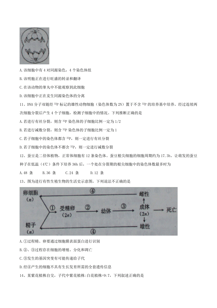 山西省怀仁县高二生物下学期期末考试试题_第3页